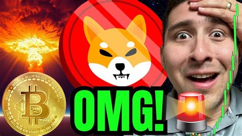 Shiba Inu Coin Breaking Crypto News Shib Needed This Youtube