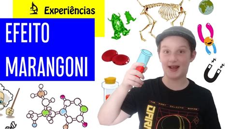 Aprenda o que é Efeito Marangoni e veja ele em ação YouTube