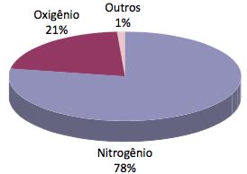 Qual É O Gás Com Maior Concentração No Ar Atmosférico - Ar Atmosférico: Origem, Composição e Gases do Ar - Cola da Web