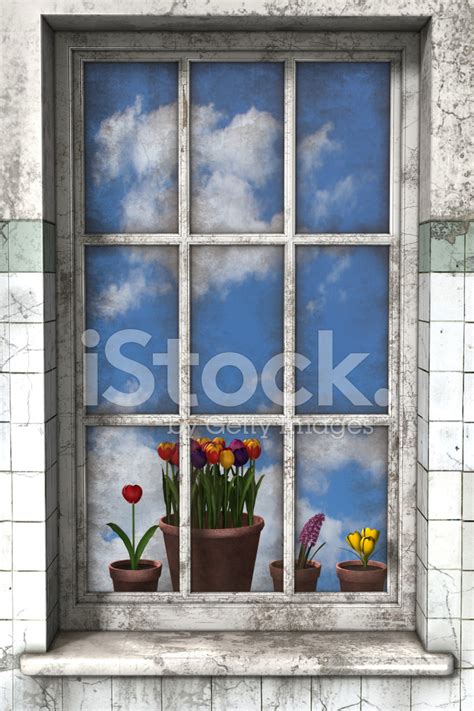 Spring Through A Window Stock Photo Royalty Free Freeimages