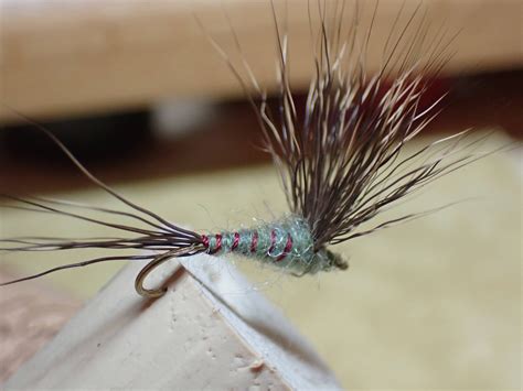 Green Drake Comparadun Dave Weller S Fly Fishing Blog