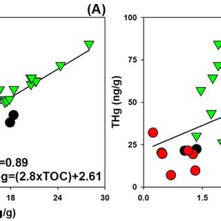 Relationship between TOC TN ratio and δ 13 C values A THg and