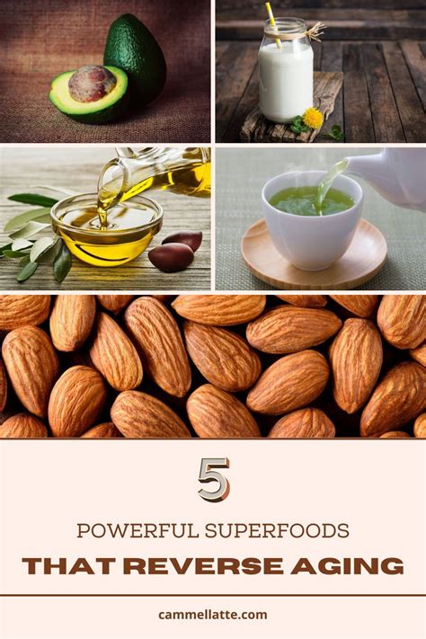 Top 5 Most Powerful Anti Aging Superfoods Anti Aging Food Superfood