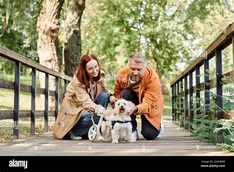 Kneel Down Hi Res Stock Photography And Images Alamy