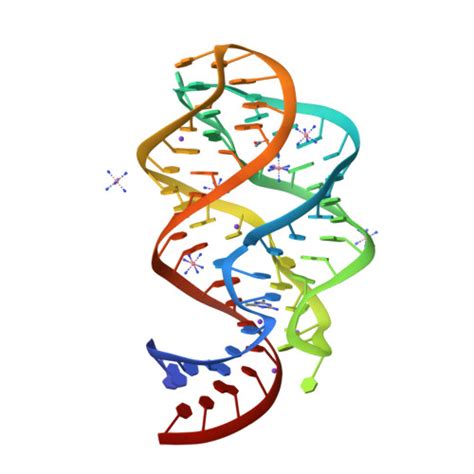 Rcsb Pdb Xnz Xpt Pbux C U Riboswitch From B Subtilis Bound To