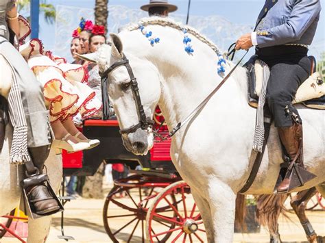 Jerez Horse festival 1. Photograph by Andrew Lever | Artfinder