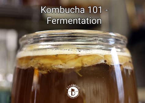 Kombucha 101 - Fermentation