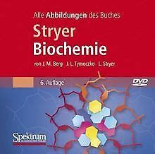 Stryer Biochemie Gebraucht Kaufen