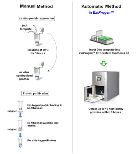 Bioneer Pacific Exiprogen™ Ec1 Protein Synthesis Kit