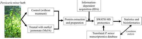 Proteomics Swath Ms Informed By Transcriptomics Approach Of Tropical