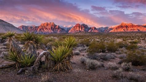 Things to do in Mojave Desert: best places to visit and tourist attractions