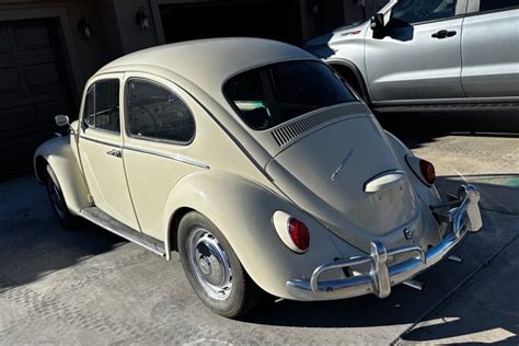 Volkswagen Beetle Barn Finds