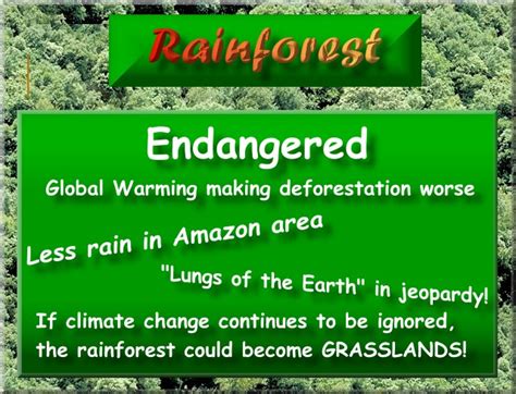 Climate Change- Affecting Rainforest