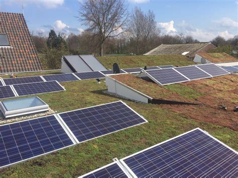 Groene Daken Leiden Daklandschap Van Groendak En Zonnepanelen Groene