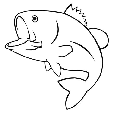 Tilapia Fish Drawing | Free download on ClipArtMag