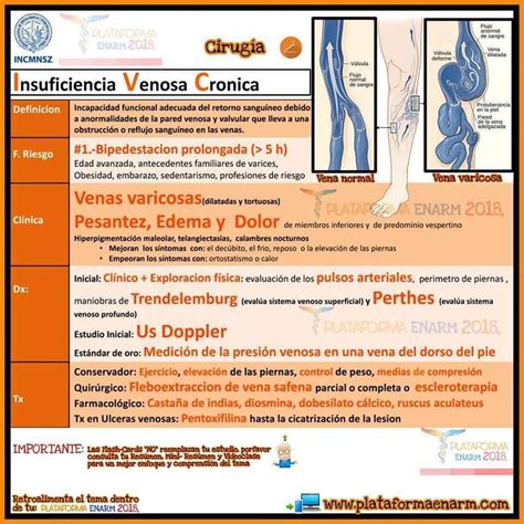 Pinterest Cosas De Enfermeria Insuficiencia Venosa Estudiante De