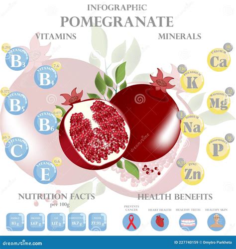 Health Benefits And Nutrition Facts Of Pomegranate Infographic Vector Illustration Stock Vector