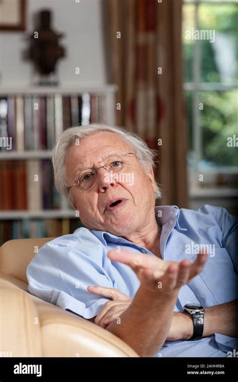 Sir David Attenborough English Broadcaster And Naturalist At His Home