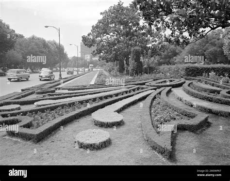 ZONA AJARDINADA EN EL PASEO DE RECOLETOS FOTOGRAFIA EN BLANCO Y NEGRO