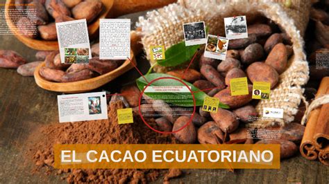 El Auge Cacaotero Ecuatoriano