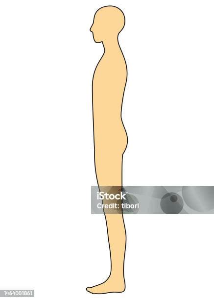 Human Body Outline Side Illustration 02 Stock Illustration Download Image Now Ankle Back