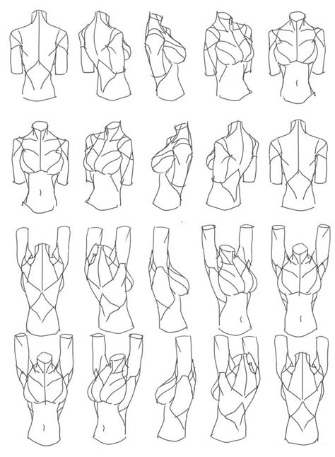 Female Torso Rotation Reference Sheet Art Drawing Tips by 匿名の