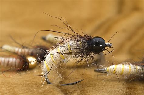 Caddis Nymph Big And Juicy Trout Food