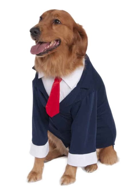 Big Dog Business Suit Pet Costume - Pet Costume Center