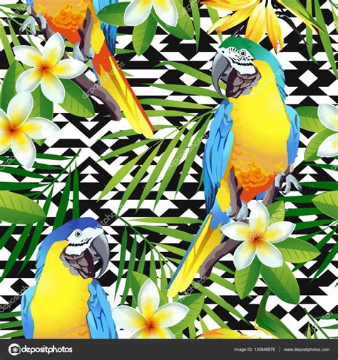 Pájaros Tropicales Loros Coloridos Y Flores Exóticas Vector Vector Gráfico Vectorial