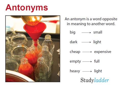 Studyladder, online english literacy & mathematics. Kids activity games ...