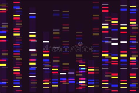 Prueba Molecular Del Mapa De Secuenciaci N Del Genoma O Del Adn