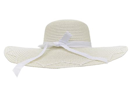 Beach Hat Summer Hat Png Transparent 25361718 Png