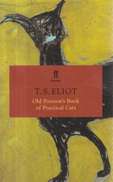 Old Possum S Book Of Practical Cats Faber Pocket T S Eliot 9780571202553 Books