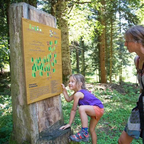 Forra Del Lupo Wolfsschlucht Sentiero Tematico Trentino