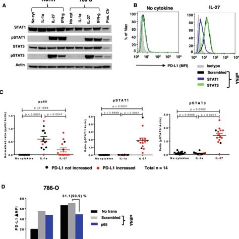 Ifn G Induced Pd L1 Protein Expression Is Associated With New Pdl1 Mrna