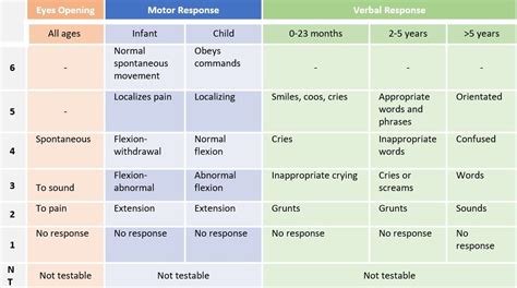 Performing A Pediatric Neurological Assessment