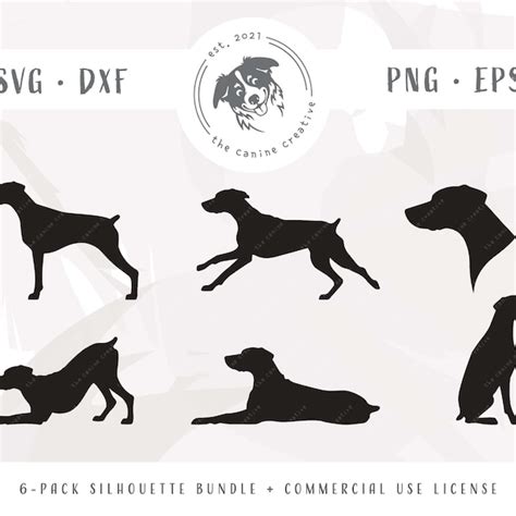 Doberman Natural Ears Etsy