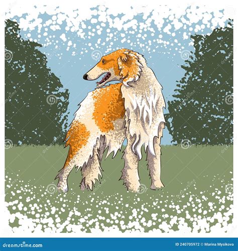 Dog Russian Greyhound stock vector. Illustration of outdoor - 240705972