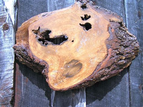 Live Edge Wood Slab Tree Slice 18 X 12 Inches Slab 64 Etsy Wood