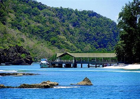 Camping In Wild Ko Tarutao Island Thailand