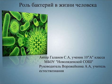 Роль бактерий в жизни человека - презентация онлайн