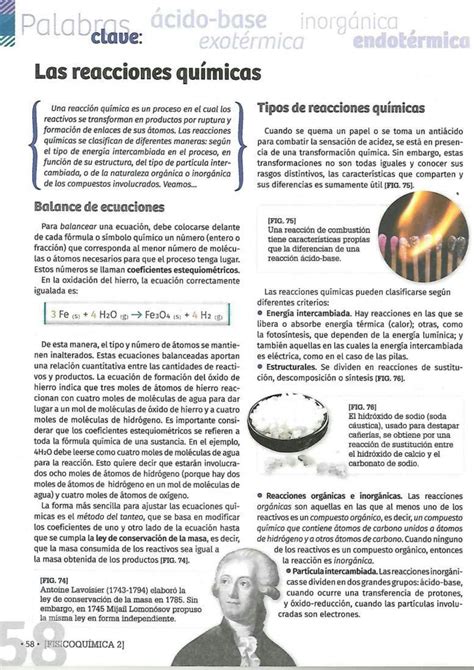 SOLUTION Reacciones Qu Micas Ed Mandioca 2 Studypool