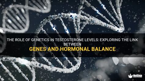 The Role Of Genetics In Testosterone Levels Exploring The Link Between Genes And Hormonal