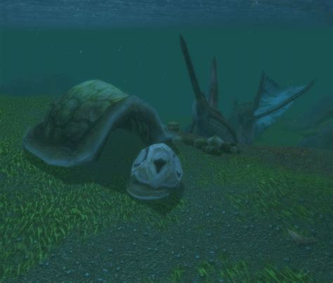 Sea Turtle Remains Item World Of Warcraft