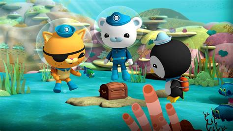 Octonauts Series 1 45 The Pirate Parrotfish Bbc Iplayer