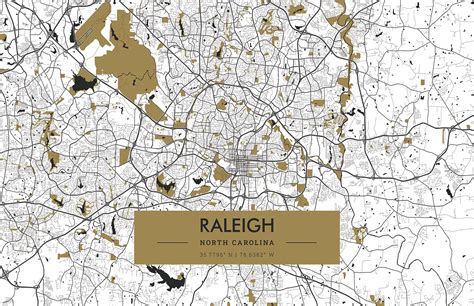 Raleigh Street Map – Avery & Mason