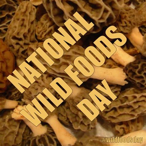 National Wild Foods Day October 28 2015