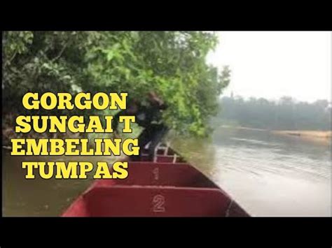 Gorgon Di Sungai Tembeling Tewas Youtube