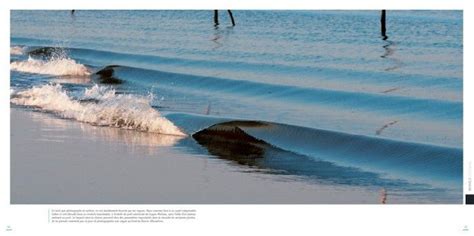 La R Union Un Surfeur De Ans Tu Par Un Requin Surf Session Magazine