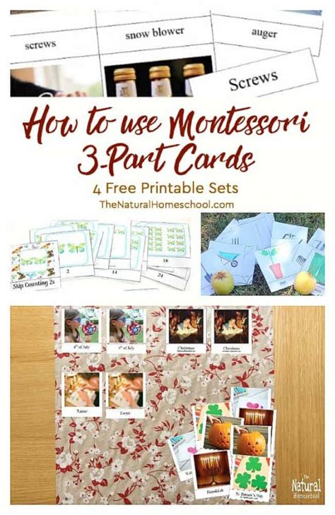 How To Use Montessori 3 Part Cards {free Printables} The Natural